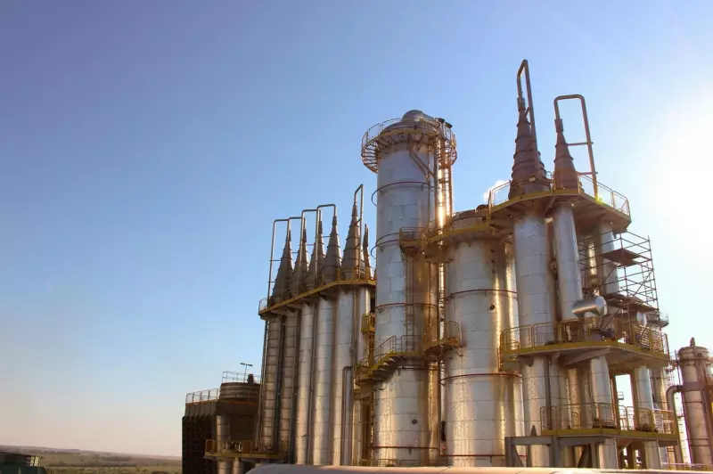 Bioenergia em MS: 637 Vagas de Emprego Disponíveis em 15 Cidades - Confira Oportunidades!