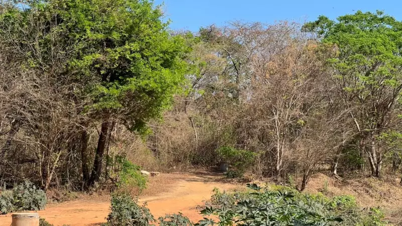 BR-251 vira palco de terror: caminhoneiro sequestrado, corpos em chamas e árbitro preso chocam Minas
