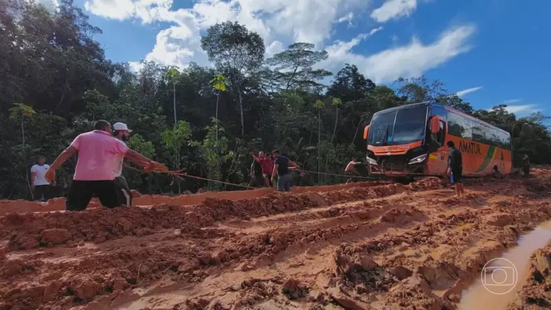 BR-319 Paralisada: Exigências do Ibama Travam Obras no Coração da Amazônia
