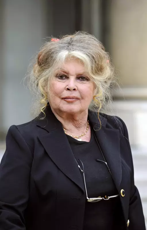 Brigitte Bardot, aos 91 anos, é internada com infecção respiratória | Saúde da lenda do cinema
