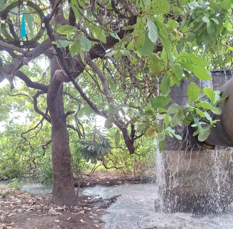 BRK Ambiental leva multa milionária por vazamento de esgoto que poluiu o Lago de Palmas