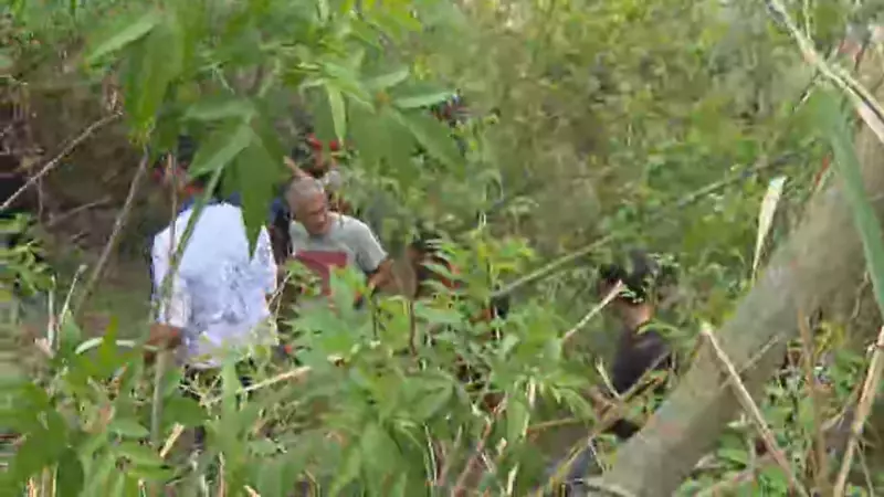 Busca Desesperada no Complexo da Penha: Moradores Procuram Corpos em Mata Após Desaparecimentos