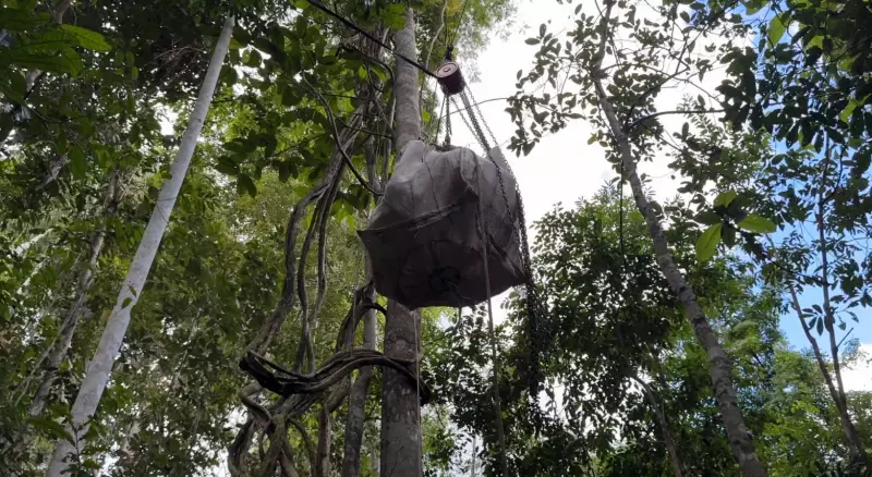 Cabos Aéreos na Floresta: A Revolução Silenciosa no Transporte da Amazônia