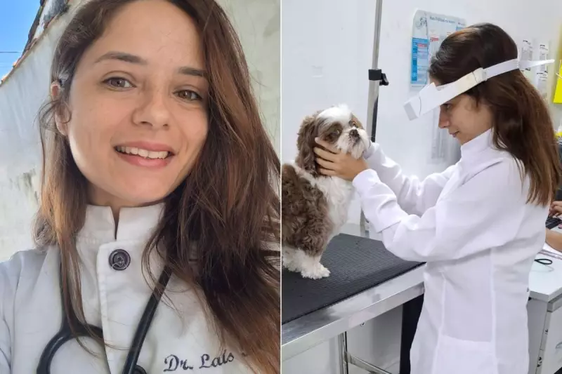 Cachorro volta a enxergar com lente de contato humana: conheça a técnica revolucionária