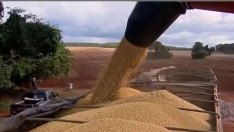 Cadeia da Soja e Biodiesel: Setor Pode Crescer Impressionantes 112,9% até 2025