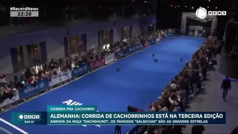 Cães Corredores: Terceira Edição do Evento Canino na Alemanha Conquista Público
