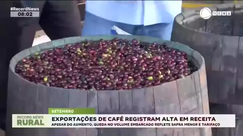 Café Brasileiro Bate Recorde: Exportações Disparam e Faturamento Salta em Setembro