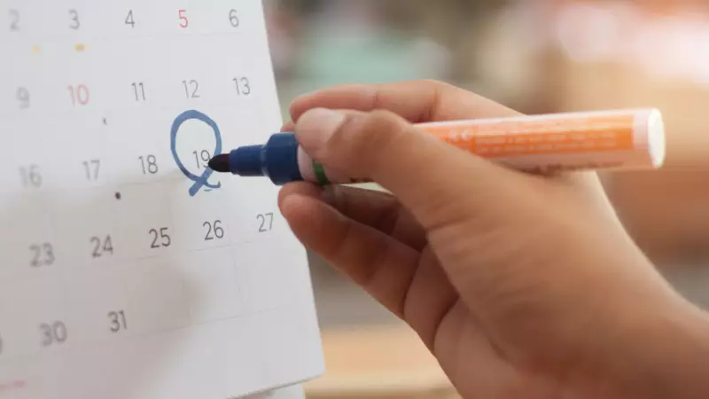 Calendário Oficial de Pouso Alegre Ganha Novas Datas Comemorativas | Câmara Municipal Amplia Celebrções