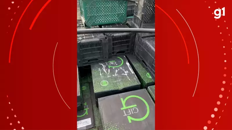 Caminhão com 8 mil maços de cigarros contrabandeados é apreendido pela PRF na Paraíba | Operação desmonta esquema internacional