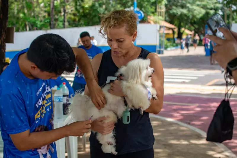 Campanha de Vacinação Antirrábica em Santarém: Confira o Cronograma Completo dos Bairros
