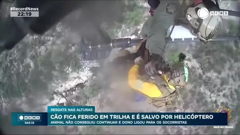 Cão Aventureiro se Machuca em Trilha e Vive Resgate de Cinema de Helicóptero nos EUA