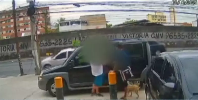 Cão caramelo vira cúmplice em assalto no Meier: veículo é levado com motorista ainda dentro
