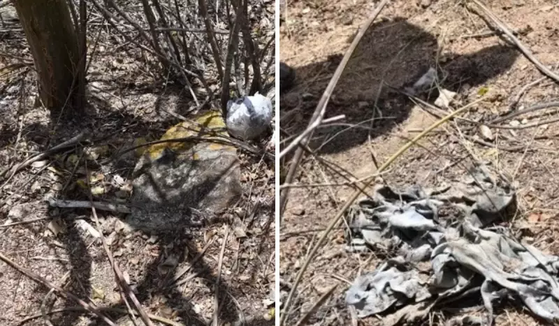 Caso Sobrenatural: Crânio Humano é Encontrado em Área Rural de Paranatama e Polícia Investiga