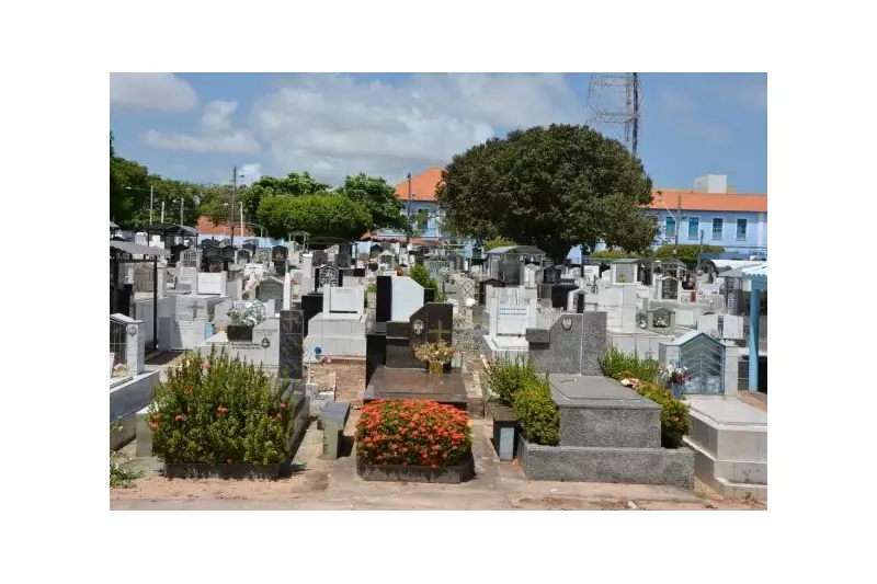 Cemitérios de Santarém: Prazo para Limpeza e Manutenção Vence Dia 20 de Outubro