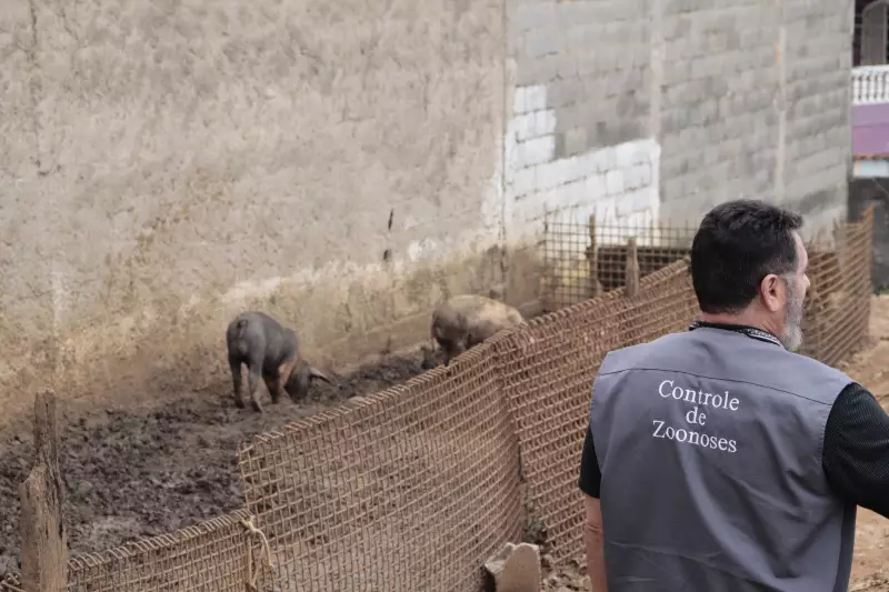 Cena Chocante em Suzano: Mais de 60 Animais Resgatados de Condições Terríveis de Maus-Tratos