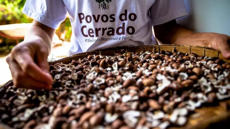 Cerrado Invisível: Os Guardiões Anônimos do Bioma Mais Ameaçado do Brasil