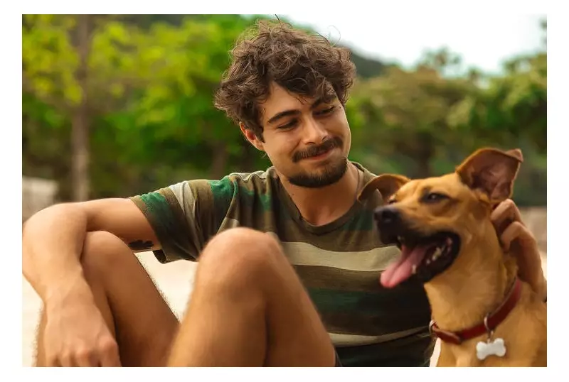 Cães Farejadores: Como o Amor Canino Está Revolucionando a Saúde Humana