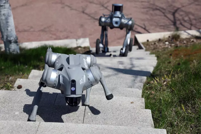Cães robóticos e drones inteligentes: Como a China está revolucionando a guerra com IA