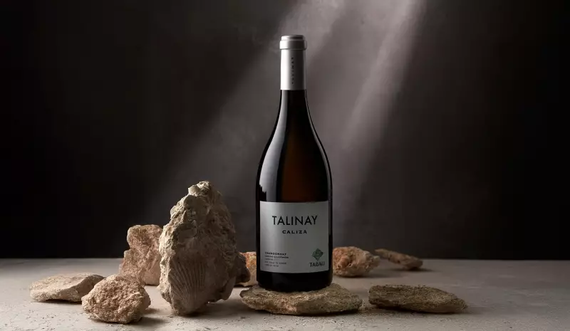 Chardonnay Chileno Surpreende e Conquista Título de Melhor Vinho de 2025