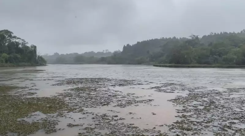 Chuva Chegou, Mas Torneira Seca: Bauru Segue no Racionamento de Água — Entenda o Paradoxo