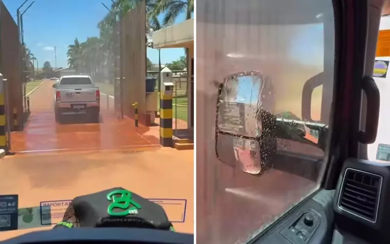 Chuveirão na Estrada: Fazenda em Goiás Usa Técnica Inusitada para Garantir Qualidade do Leite | Vídeo