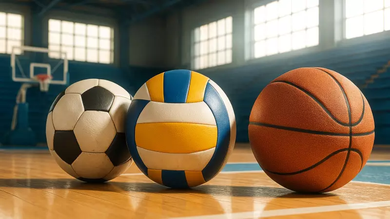 Câmara de Pouso Alegre Aprova Projetos que Transformam Vidas Através do Esporte