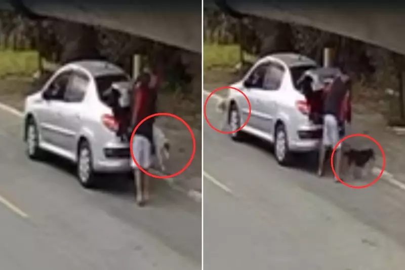 Câmera flagra homem abandonando cachorros em SP; imagens chocam e caso vai parar na polícia