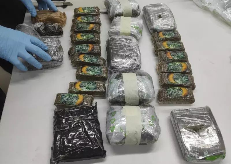 Cão farejador da PF descobre haxixe em mala de passageira no aeroporto de Natal; mulher é presa em flagrante