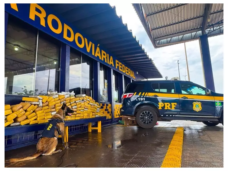 Cão farejador da PRF desmonta esquema e apreende 160 kg de drogas em rodovia de Mato Grosso