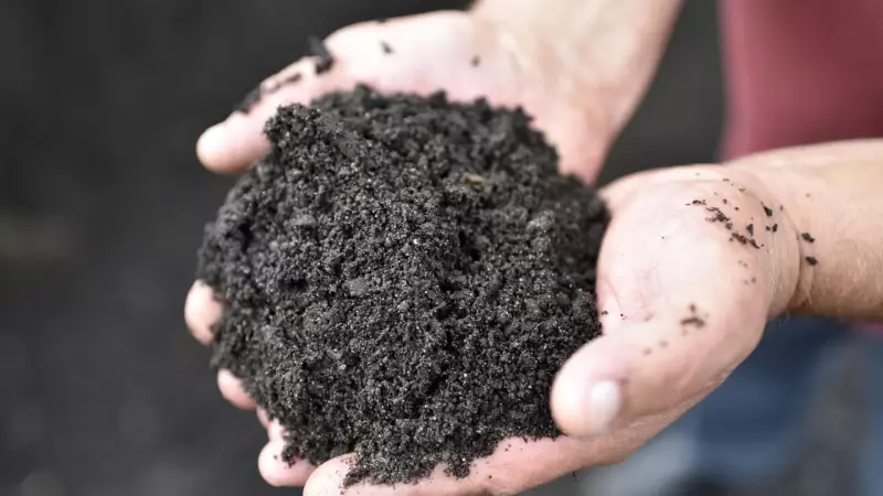 Compostagem Humana: A Revolução Verde nos Rituais Fúnebres que Divide Opiniões
