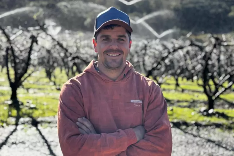 Contra a Geada: Como a Irrigação Está Salvando as Frutas da Serra Gaúcha