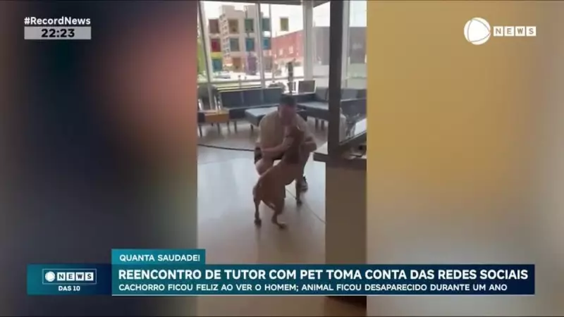 Coração nas redes: vídeo de tutor reencontrando pet perdido há meses derrete a internet