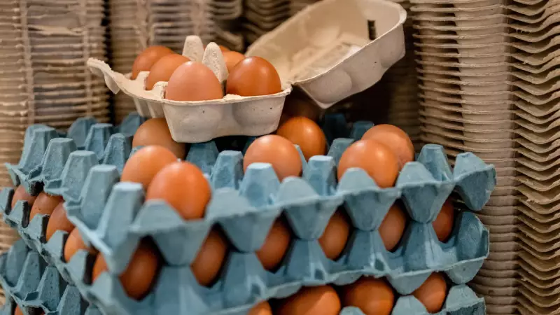 Cuidado! Doença silenciosa pode estar escondida nos alimentos do seu dia a dia - Saiba como se proteger