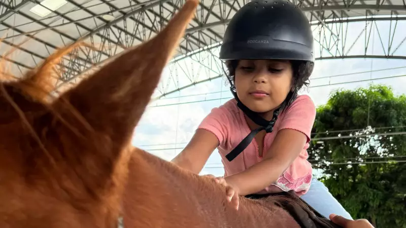 Equoterapia no DF: Cavalos Transformam a Vida de Crianças e Adolescentes com Deficiência