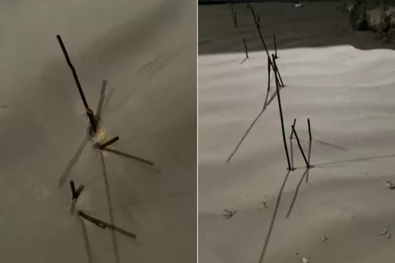 Espetos de Ferro na Areia: Perigo Oculto nas Praias de SP Põe Banhistas em Risco