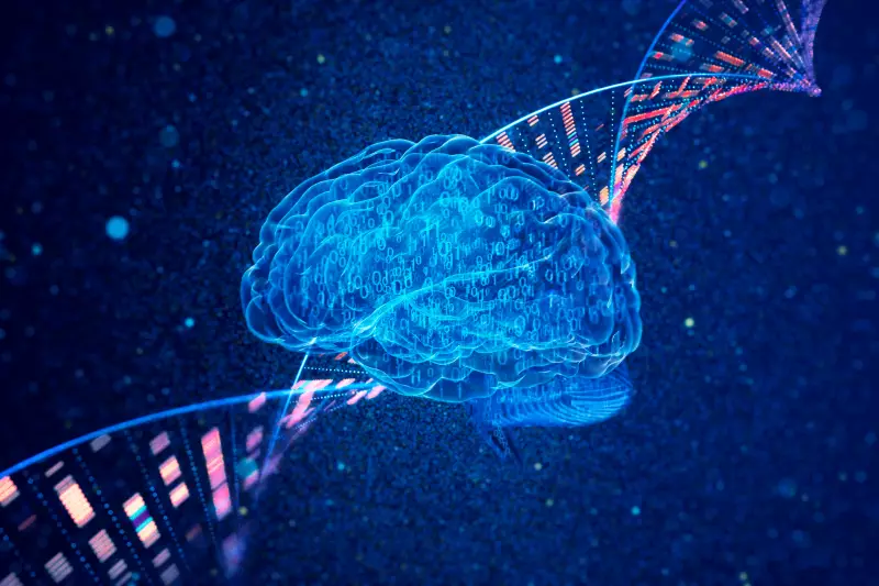 Estados Elevados de Consciência: O Que Acontece Dentro do Nosso Cérebro?