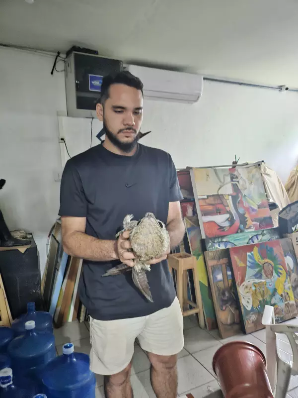 Fantasma das Árvores: Ave Rara É Reintroduzida na Natureza em Porto Velho em Cena Rara