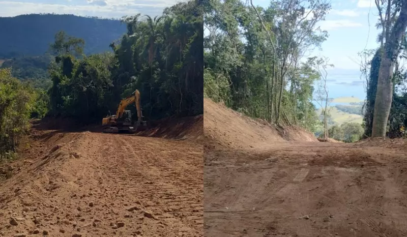 Fazendeiro Leva Multa de R$ 40 Mil Por Destruir Mata Nativa em SP - Entenda o Caso