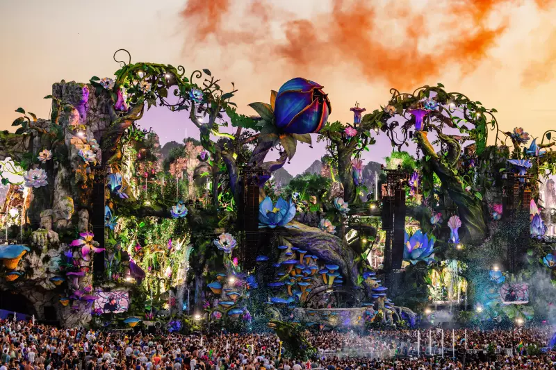 Fechamento Épico: Último Dia do Tomorrowland Brasil 2025 Eletriza com Alok, Steve Aoki e Alesso