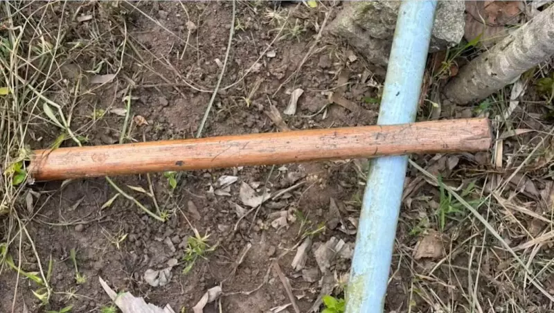 Feminicídio na Paraíba: Mulher é espancada até a morte com pedaço de madeira pelo próprio companheiro