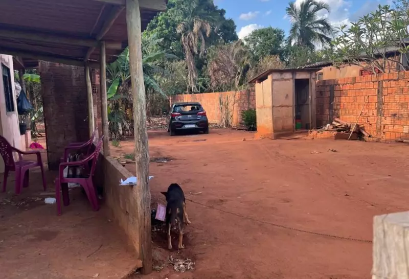 Feminicídio em Bandeirantes: Companheiro é Suspeito de Assassinar Mulher a Tiros