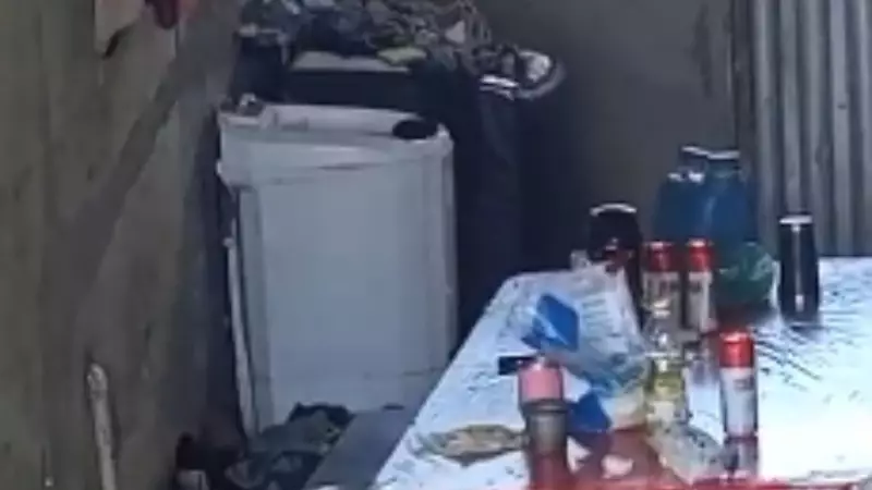 Filhote Sobrevive Milagrosamente Após Ser Encontrado Dentro de Máquina de Lavar com Roupas e Água em MG