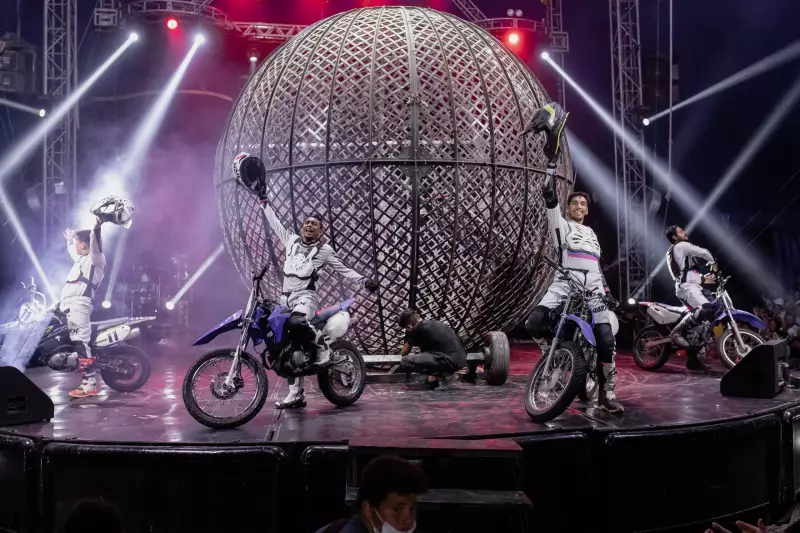 Fim de Semana na Paraíba: Circo Especial, Rita e Eller em Show e Exposição Imperdível