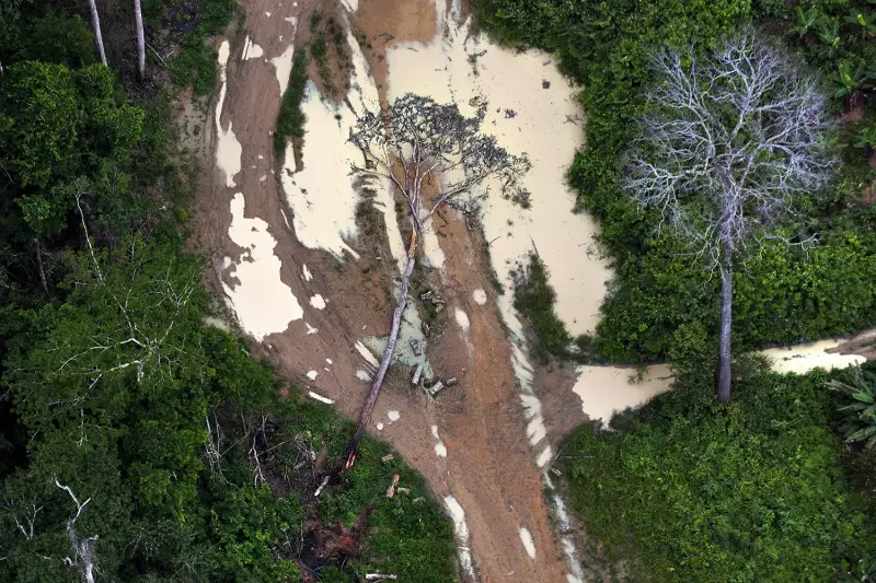 Fogo Avança como Principal Vetor de Destruição na Amazônia, Revela Análise na COP-30