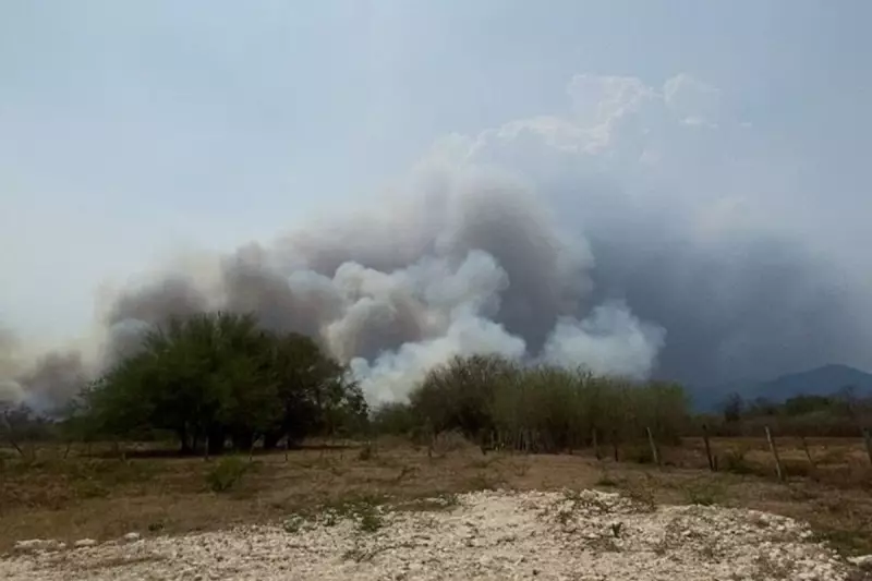 Fogo Avança no Pantanal: Nova Queimada Ameaça Área Protegida em MS e Alerta Autoridades