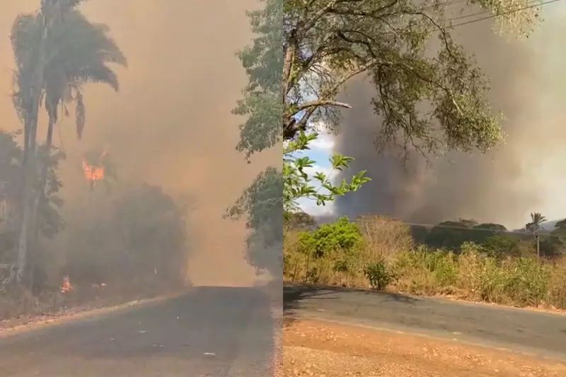 Fogo Avança no Piauí: Incêndios Ameaçam Residências e Assustam Moradores