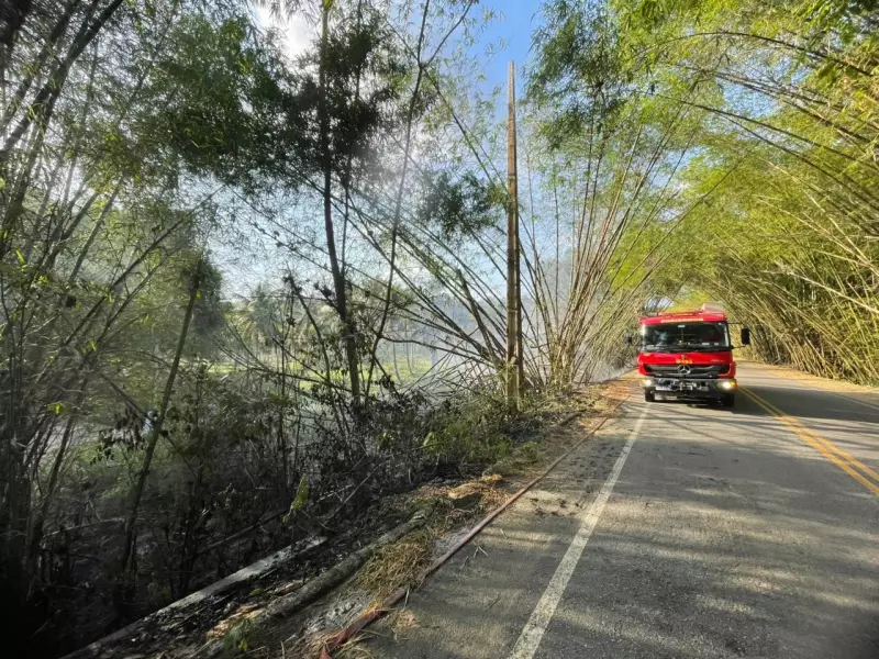 Fogo Consome Entrada de Lucena: Bombeiros Controlam Chamas Após Horas de Combate