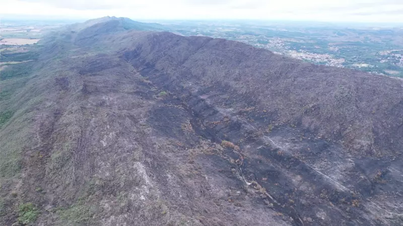 Fogo Devasta Refúgio Ecológico na Serra de São José: Campos Rupestres e Trilhas em Chamas