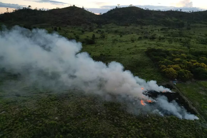 Fogo na Floresta: O Rastro de Cinzas que Começa nas Portas dos Currais no Sul do Pará