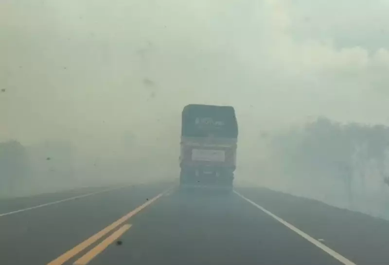 Fumaça Obriga Interdição da BR-163 em MS: Bombeiros Alertam sobre Risco Iminente